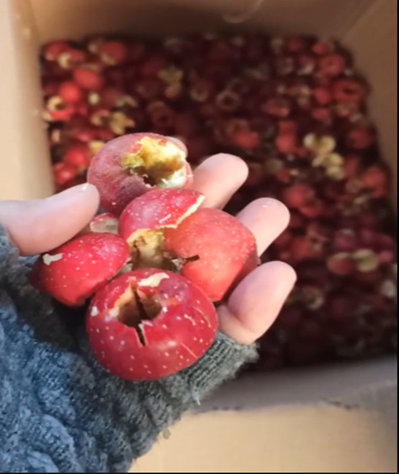 山楂、青梅去核機(jī)